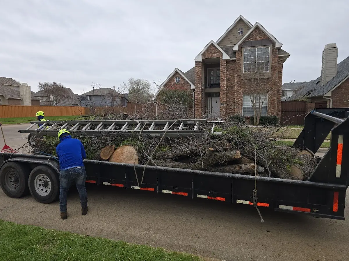Expert Tree Removal with proper safety equipment in Vaughan